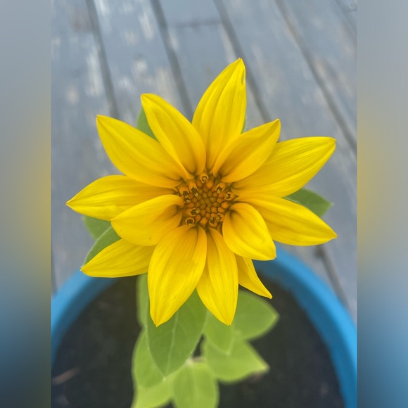 Know who your buying from - Picture 4 of 8